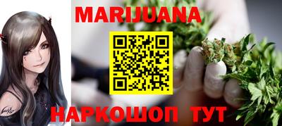 индика Лесосибирск