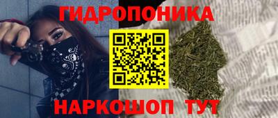 индика Лесосибирск