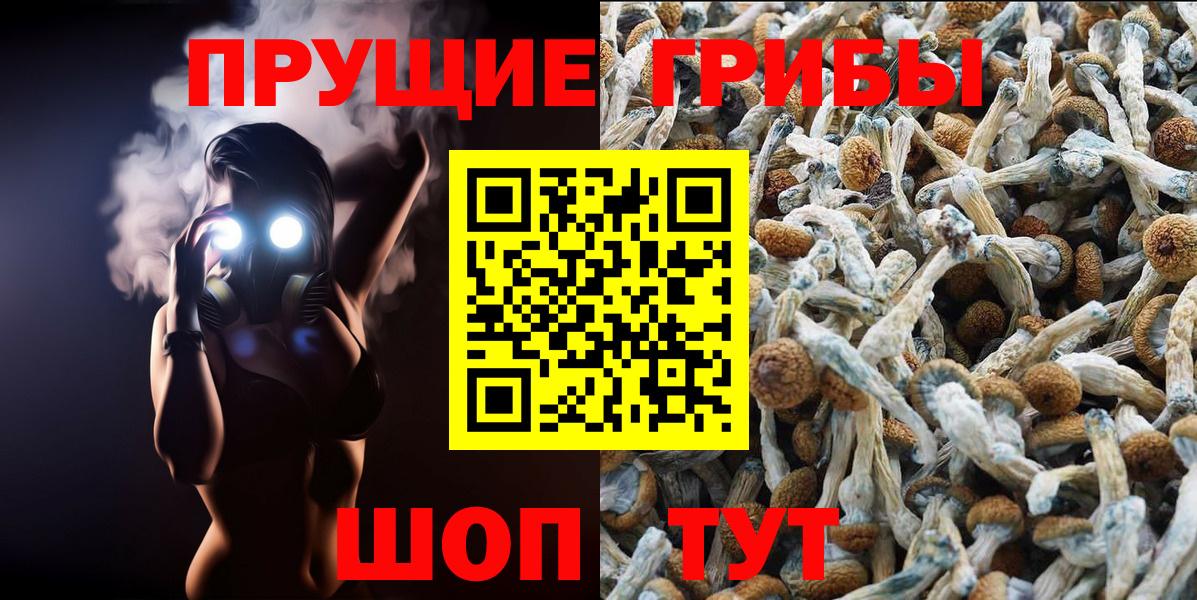 Галлюциногенные грибы Magic Shrooms Краснокамск