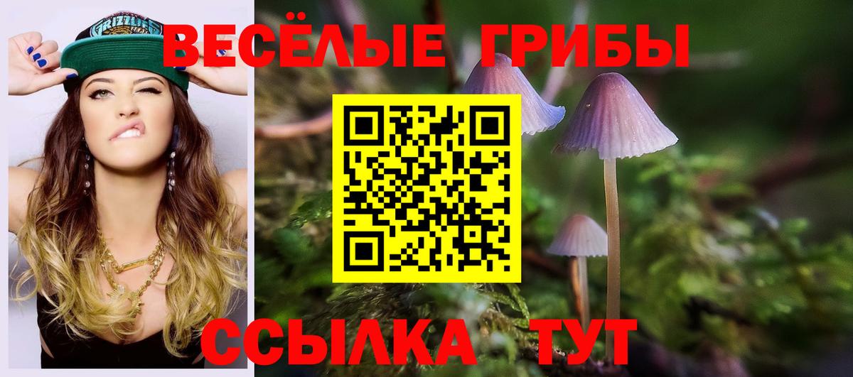 Псилоцибиновые грибы Magic Shrooms  сколько стоит  Краснокамск  Вход с VPN  Галлюциногенные грибы GOLDEN TEACHER 